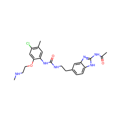 CNCCOc1cc(Cl)c(C)cc1NC(=O)NCCc1ccc2[nH]c(NC(C)=O)nc2c1 ZINC000071296908