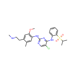 CNCCc1cc(OC)c(Nc2ncc(Cl)c(Nc3ccccc3S(=O)(=O)C(C)C)n2)cc1C ZINC001772579441