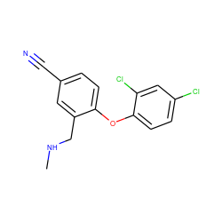 CNCc1cc(C#N)ccc1Oc1ccc(Cl)cc1Cl ZINC000029129577