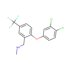 CNCc1cc(C(F)(F)F)ccc1Oc1ccc(Cl)c(Cl)c1 ZINC000034281160