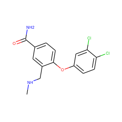 CNCc1cc(C(N)=O)ccc1Oc1ccc(Cl)c(Cl)c1 ZINC000040379958