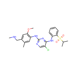 CNCc1cc(OC)c(Nc2ncc(Cl)c(Nc3ccccc3S(=O)(=O)C(C)C)n2)cc1C ZINC001772582369