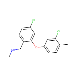 CNCc1ccc(Cl)cc1Oc1ccc(C)c(Cl)c1 ZINC000040845485