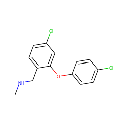 CNCc1ccc(Cl)cc1Oc1ccc(Cl)cc1 ZINC000040391284