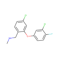 CNCc1ccc(Cl)cc1Oc1ccc(F)c(Cl)c1 ZINC000040380450