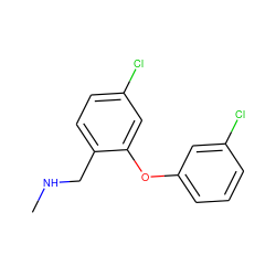 CNCc1ccc(Cl)cc1Oc1cccc(Cl)c1 ZINC000040829211