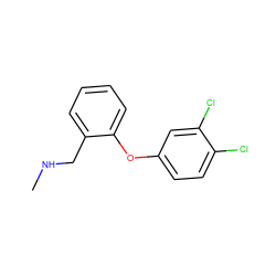 CNCc1ccccc1Oc1ccc(Cl)c(Cl)c1 ZINC000038001535