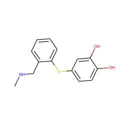 CNCc1ccccc1Sc1ccc(O)c(O)c1 ZINC000000347787