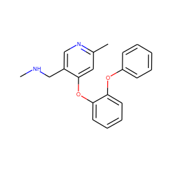 CNCc1cnc(C)cc1Oc1ccccc1Oc1ccccc1 ZINC000029125078