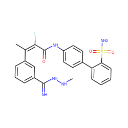 CNNC(=N)c1cccc(/C(C)=C(/F)C(=O)Nc2ccc(-c3ccccc3S(N)(=O)=O)cc2)c1 ZINC000013487198