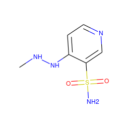 CNNc1ccncc1S(N)(=O)=O ZINC000049808082