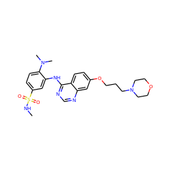 CNS(=O)(=O)c1ccc(N(C)C)c(Nc2ncnc3cc(OCCCN4CCOCC4)ccc23)c1 ZINC000117167317