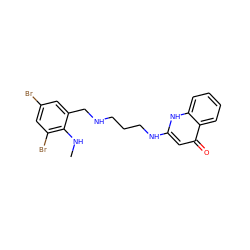 CNc1c(Br)cc(Br)cc1CNCCCNc1cc(=O)c2ccccc2[nH]1 ZINC000013487768