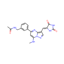 CNc1cc(-c2cccc(CNC(C)=O)c2)nc2c(/C=C3\NC(=O)NC3=O)cnn12 ZINC001772571584