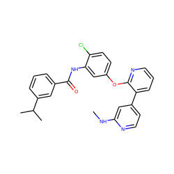 CNc1cc(-c2cccnc2Oc2ccc(Cl)c(NC(=O)c3cccc(C(C)C)c3)c2)ccn1 ZINC000028896908