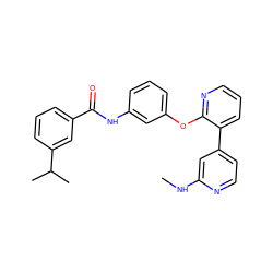 CNc1cc(-c2cccnc2Oc2cccc(NC(=O)c3cccc(C(C)C)c3)c2)ccn1 ZINC000028896903