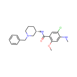 CNc1cc(OC)c(C(=O)N[C@H]2CCCN(Cc3ccccc3)C2)cc1Cl ZINC000013553255