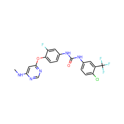 CNc1cc(Oc2ccc(NC(=O)Nc3ccc(Cl)c(C(F)(F)F)c3)cc2F)ncn1 ZINC001772590252