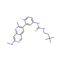 CNc1cc2nc(C)c(-c3cc(NC(=O)NCCC(C)(C)C)ccc3F)cc2cn1 ZINC000204949394