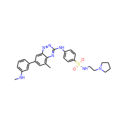 CNc1cccc(-c2cc(C)c3nc(Nc4ccc(S(=O)(=O)NCCN5CCCC5)cc4)nnc3c2)c1 ZINC000028702779