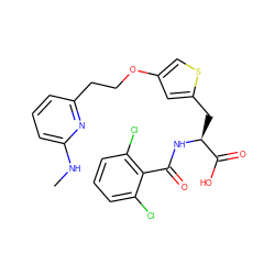 CNc1cccc(CCOc2csc(C[C@H](NC(=O)c3c(Cl)cccc3Cl)C(=O)O)c2)n1 ZINC000084758368