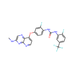 CNc1cnc2c(Oc3ccc(NC(=O)Nc4cc(C(F)(F)F)ccc4F)c(F)c3)ccnc2n1 ZINC000058538213