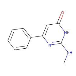 CNc1nc(-c2ccccc2)cc(=O)[nH]1 ZINC000040887675