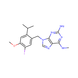 CNc1nc(N)nc2c1ncn2Cc1cc(I)c(OC)cc1C(C)C ZINC000096272716