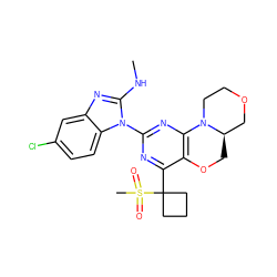 CNc1nc2cc(Cl)ccc2n1-c1nc2c(c(C3(S(C)(=O)=O)CCC3)n1)OC[C@@H]1COCCN21 ZINC000218271884