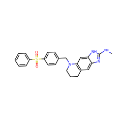 CNc1nc2cc3c(cc2[nH]1)N(Cc1ccc(S(=O)(=O)c2ccccc2)cc1)CCC3 ZINC000013451095