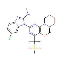 CNc1nc2ccc(Cl)cc2n1-c1nc2c(c(C(C)(C)S(C)(=O)=O)n1)OC[C@@H]1COCCN21 ZINC000218290336