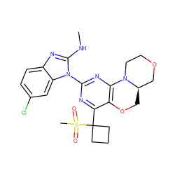 CNc1nc2ccc(Cl)cc2n1-c1nc2c(c(C3(S(C)(=O)=O)CCC3)n1)OC[C@@H]1COCCN21 ZINC000218271951