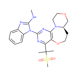 CNc1nc2ccccc2n1-c1nc2c(c(C(C)(C)S(C)(=O)=O)n1)OCC[C@@H]1COCCN21 ZINC000218209821