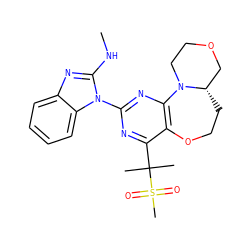 CNc1nc2ccccc2n1-c1nc2c(c(C(C)(C)S(C)(=O)=O)n1)OCC[C@H]1COCCN21 ZINC000218209732