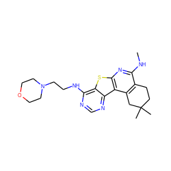 CNc1nc2sc3c(NCCN4CCOCC4)ncnc3c2c2c1CCC(C)(C)C2 ZINC000064539968