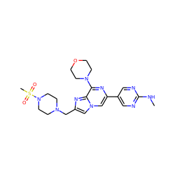 CNc1ncc(-c2cn3cc(CN4CCN(S(C)(=O)=O)CC4)nc3c(N3CCOCC3)n2)cn1 ZINC000084740903