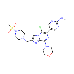 CNc1ncc(-c2nc(N3CCOCC3)c3nc(CN4CCN(S(C)(=O)=O)CC4)cn3c2Cl)cn1 ZINC000084687991