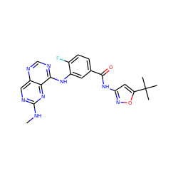 CNc1ncc2ncnc(Nc3cc(C(=O)Nc4cc(C(C)(C)C)on4)ccc3F)c2n1 ZINC000148100069