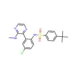 CNc1nccnc1-c1cc(Cl)ccc1NS(=O)(=O)c1ccc(C(C)(C)C)cc1 ZINC000474609913