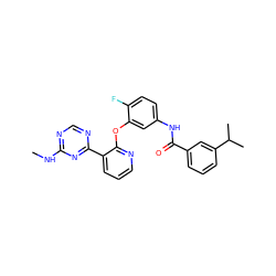 CNc1ncnc(-c2cccnc2Oc2cc(NC(=O)c3cccc(C(C)C)c3)ccc2F)n1 ZINC000028896894