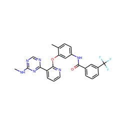 CNc1ncnc(-c2cccnc2Oc2cc(NC(=O)c3cccc(C(F)(F)F)c3)ccc2C)n1 ZINC000028896913