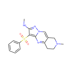 CNc1nn2cc3c(nc2c1S(=O)(=O)c1ccccc1)CCN(C)C3 ZINC000095554594