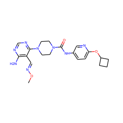 CO/N=C/c1c(N)ncnc1N1CCN(C(=O)Nc2ccc(OC3CCC3)nc2)CC1 ZINC000028824159