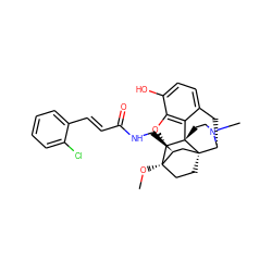 CO[C@@]12CC[C@@]3(C[C@@H]1CNC(=O)/C=C/c1ccccc1Cl)[C@H]1Cc4ccc(O)c5c4[C@@]3(CCN1C)[C@H]2O5 ZINC000101142371