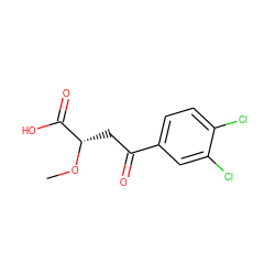 CO[C@@H](CC(=O)c1ccc(Cl)c(Cl)c1)C(=O)O ZINC000026730663