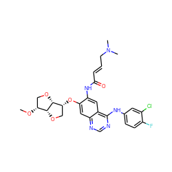 CO[C@@H]1CO[C@@H]2[C@H](Oc3cc4ncnc(Nc5ccc(F)c(Cl)c5)c4cc3NC(=O)/C=C/CN(C)C)CO[C@H]12 ZINC001772592937