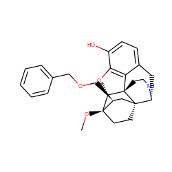 CO[C@]12CC[C@@]3(C[C@@H]1COCc1ccccc1)[C@H]1Cc4ccc(O)c5c4[C@@]3(CCN1)[C@H]2O5 ZINC000114758863