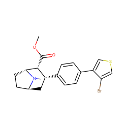 COC(=O)[C@@H]1[C@H](c2ccc(-c3cscc3Br)cc2)C[C@H]2CC[C@H]1N2C ZINC000101031422