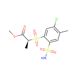 COC(=O)[C@H](C)S(=O)(=O)c1cc(Cl)c(C)cc1S(N)(=O)=O ZINC000034799857