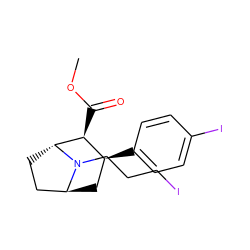 COC(=O)[C@H]1[C@@H](c2ccc(I)cc2)C[C@H]2CC[C@H]1N2CCCI ZINC000100761714